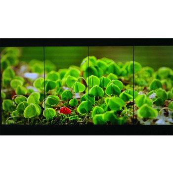 Sharp LED Video Wall 60" LW6001